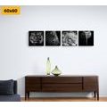 CANVAS PRINT SET WILD ANIMALS IN BLACK AND WHITE - SET OF PICTURES - PICTURES