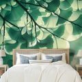 TAPETA ZELENÉ LISTY GINKGO V ZÁŘI SVĚTLA - TAPETY LISTY - TAPETY