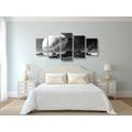 5-PIECE CANVAS PRINT FANTASY LANDSCAPE IN BLACK AND WHITE - BLACK AND WHITE PICTURES - PICTURES