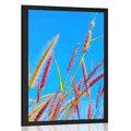 AFFICHE HERBE SAUVAGE SOUS UN CIEL BLEU - NATURE - AFFICHES