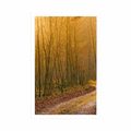 POSTER WEG ZUM WALD - NATUR - POSTER