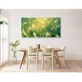 CANVAS PRINT MORNING DEW - PICTURES OF NATURE AND LANDSCAPE - PICTURES