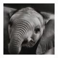 WANDBILD SCHWARZ-WEISSES PORTRÄT EINES ELEFANTEN - BILDER VON ELEFANTEN - BILDER