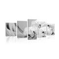 5-PIECE CANVAS PRINT ORCHID ON A CANVAS IN BLACK AND WHITE - BLACK AND WHITE PICTURES - PICTURES