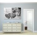 CANVAS PRINT PEONIES AND BIRCH HEARTS IN BLACK AND WHITE - BLACK AND WHITE PICTURES - PICTURES