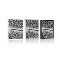 POSTER VIEW OF A WINTER LANDSCAPE IN BLACK AND WHITE - BLACK AND WHITE - POSTERS