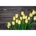 FOTOTAPETE GELBE TULPEN AUF HÖLZERNEM HINTERGRUND - TAPETEN MIT BLUMENMOTIVEN - TAPETEN