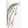 IMPRESSION SUR TOILE BRINS D'HERBE AVEC UNE TOUCHE DE MINIMALISME - IMPRESSIONS SUR TOILE ARBRES ET FEUILLES - IMPRESSION SUR TOILE