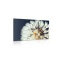 TABLEAU SUR TOILE – PISSENLIT SUR FOND SOMBRE - TABLEAUX DE FLEURS - TABLEAUX