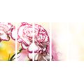 5-PIECE CANVAS PRINT ELEGANT CARNATION - PICTURES FLOWERS{% if product.category.pathNames[0] != product.category.name %} - PICTURES{% endif %}