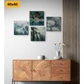 CANVAS PRINT SET WONDERS OF NATURE - SET OF PICTURES - PICTURES