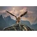 WALLPAPER EAGLE WITH SPREAD WINGS OVER THE MOUNTAINS - WALLPAPERS ANIMALS - WALLPAPERS