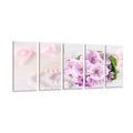 5 PART PICTURE LUXURY GIFT SET - PICTURES FLOWERS{% if kategorie.adresa_nazvy[0] != zbozi.kategorie.nazev %} - PICTURES{% endif %}