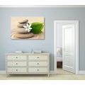 CANVAS PRINT WHITE FLOWER AND STONES IN THE SAND - PICTURES FENG SHUI - PICTURES