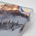 SELF ADHESIVE WALL MURAL ROZSUTEC IN A BLANKET OF SNOW - SELF-ADHESIVE WALLPAPERS - WALLPAPERS