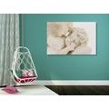 CANVAS PRINT SLEEPING ANGEL - PICTURES OF ANGELS - PICTURES