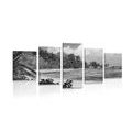 5-PIECE CANVAS PRINT BEACH ON THE ISLAND OF LA DIGUO IN BLACK AND WHITE - BLACK AND WHITE PICTURES - PICTURES