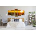 5-PIECE CANVAS PRINT BEAUTIFUL SUNSET - PICTURES OF NATURE AND LANDSCAPE - PICTURES