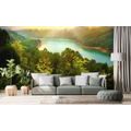 WALL MURAL RIVER IN THE MIDDLE OF THE FOREST - WALLPAPERS NATURE - WALLPAPERS