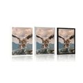 POSTER EAGLE WITH SPREAD WINGS OVER THE MOUNTAINS - ANIMALS - POSTERS