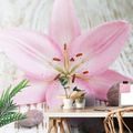 SELF ADHESIVE WALL MURAL PINK LILY AND ZEN STONES - SELF-ADHESIVE WALLPAPERS - WALLPAPERS