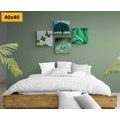 CANVAS PRINT SET NATURE FULL OF GREENERY - SET OF PICTURES - PICTURES