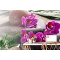 WALL MURAL BEAUTIFUL ORCHID AND ZEN STONES - WALLPAPERS FENG SHUI - WALLPAPERS