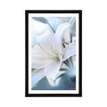 POSTER WITH MOUNT WHITE LILY FLOWER ON AN ABSTRACT BACKGROUND - FLOWERS - POSTERS