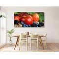 CANVAS PRINT AUTUMN HARVEST - PICTURES OF FOOD AND DRINKS - PICTURES