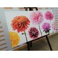 CANVAS PRINT DAHLIA FLOWERS IN A DIVERSE DESIGN - PICTURES FLOWERS - PICTURES