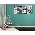 5-PIECE CANVAS PRINT SPRING TULIPS IN BLACK AND WHITE - BLACK AND WHITE PICTURES - PICTURES