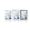 POSTER WITH MOUNT WHITE LILY FLOWER ON AN ABSTRACT BACKGROUND - FLOWERS - POSTERS