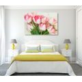 CANVAS PRINT SPRING TULIPS - PICTURES FLOWERS - PICTURES