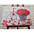 CANVAS PRINT BIKE FULL OF ROSES - PICTURES FLOWERS - PICTURES