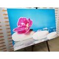 CANVAS PRINT ORCHID AND ZEN STONES - PICTURES FENG SHUI - PICTURES