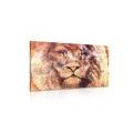 CANVAS PRINT LION'S FACE - PICTURES OF ANIMALS{% if product.category.pathNames[0] != product.category.name %} - PICTURES{% endif %}