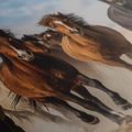 WANDBILD HERDE VON PFERDEN IN BEWEGUNG - BILDER VON PFERDEN - BILDER
