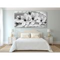 CANVAS PRINT LUXURIOUS MAGNOLIA WITH PEARLS IN BLACK AND WHITE - BLACK AND WHITE PICTURES - PICTURES