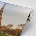 WALL MURAL FAMOUS EIFFEL TOWER - WALLPAPERS CITIES - WALLPAPERS