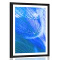 POSTER WITH MOUNT BEAUTIFUL DANDELION IN BLUE DESIGN - FLOWERS - POSTERS