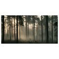 CANVASTAVLA STILLA MORGONLJUS I SKOGEN - TAVLOR MED SKOG - TAVLOR
