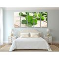 5-PIECE CANVAS PRINT GREEN FOUR-LEAF CLOVERS - STILL LIFE PICTURES - PICTURES