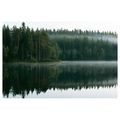 CANVASTAVLA DIMMIG SJÖ I SKOGEN - TAVLOR MED SJÖAR - TAVLOR