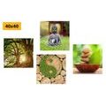 CANVAS PRINT SET FENG SHUI IN GREEN DESIGN - SET OF PICTURES - PICTURES