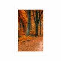 POSTER MIT PASSEPARTOUT WALD IN DER HERBSTZEIT - NATUR - POSTER