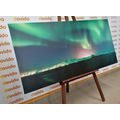 CANVAS PRINT UNUSUAL GREEN GLOW - PICTURES OF NATURE AND LANDSCAPE - PICTURES