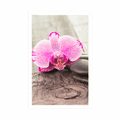 POSTER WITH MOUNT ORCHID AND ZEN STONES ON A WOODEN BACKGROUND - FLOWERS - POSTERS