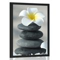 POSTER HARMONIOUS STONES AND PLUMERIA FLOWER - FENG SHUI - POSTERS
