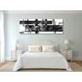 CANVAS PRINT LUXURIOUS ABSTRACTION IN BLACK AND WHITE - BLACK AND WHITE PICTURES - PICTURES