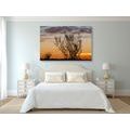TABLEAU SUR TOILE – BRINDILLES AU COUCHER DU SOLEIL - TABLEAUX DE LA NATURE ET DES PAYSAGES - TABLEAUX